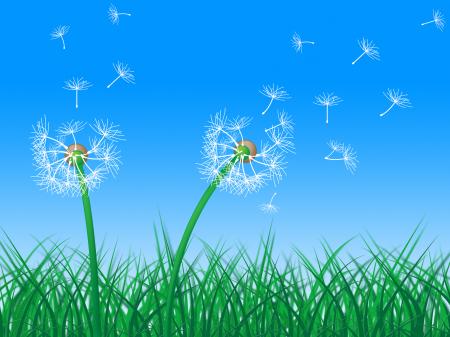 Sky Grass Represents Dandelion Hair And Dandelions