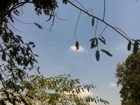Sky in Beng Lake