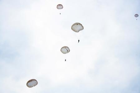 Skydivers