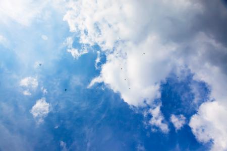 skydivers in blue sky