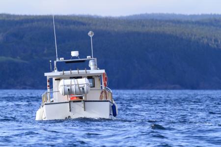 Small Pleasure Vessel