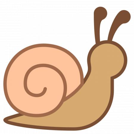 snail