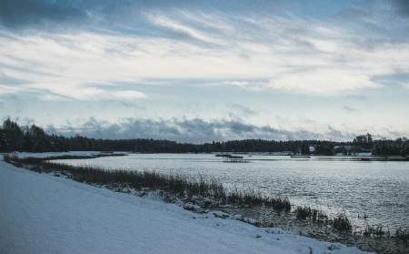 Snow Covered Field