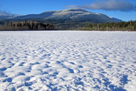 Snow Covered Field
