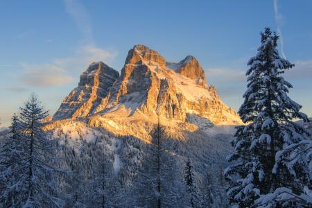 Snow Covered Mountain With Pine Trees