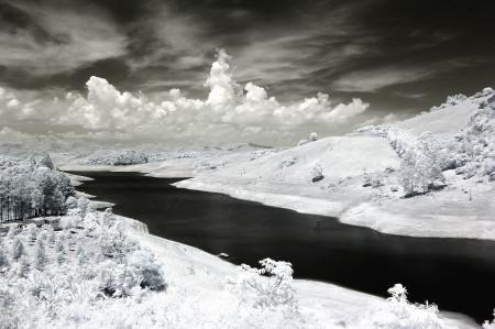 Snow Covered Trees Photo