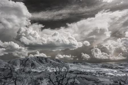 Snow Covered Trees Under Cumulonimbus Clouds