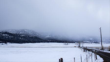 Snow storm on Blue Mountains, Oregon