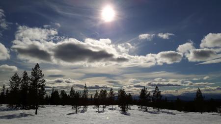 Snowfield With Trees over Clear Blue Skies during Day Time