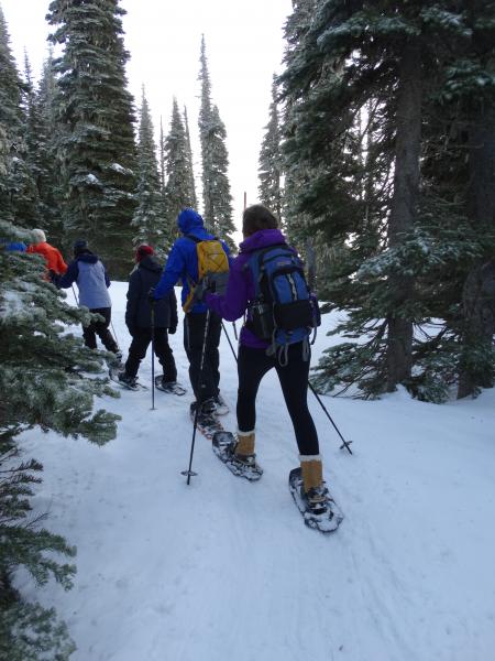 Snowshoe Walk