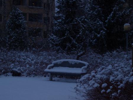 Snowy bench