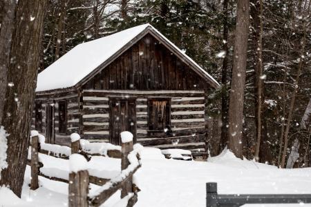 Snowy Brown House Near Tree