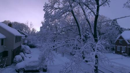 Snowy Neighborhood