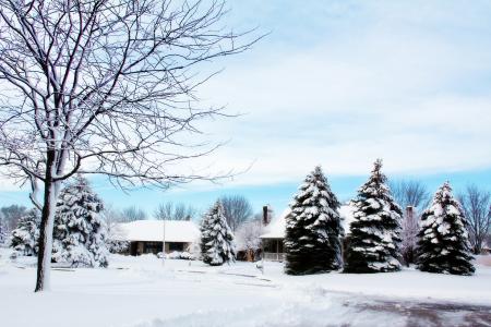 Snowy Neighborhood