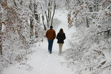 Snowy Walk