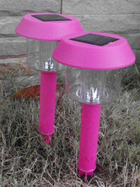 Solar Garden Lights