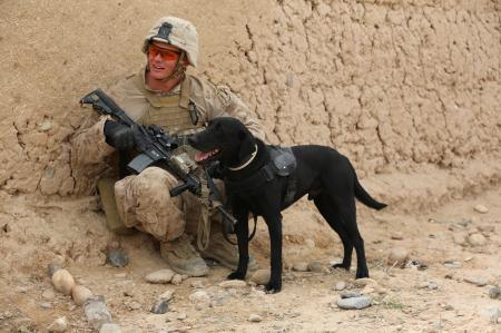 Solider with Dog