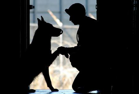 Solider with Dog