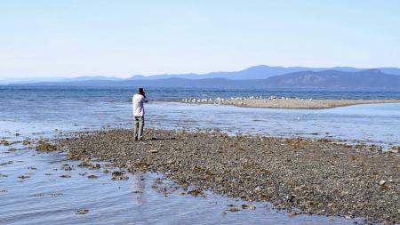 Solitary Beach Person