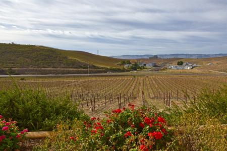 Sonoma Valley Scenery - HDR