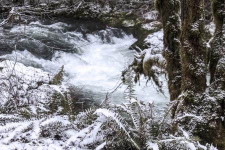 South Santiam River, Oregon, With Snow