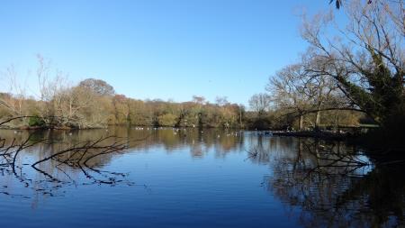 Southampton Common Pond