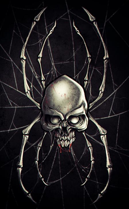 Spider on Skull