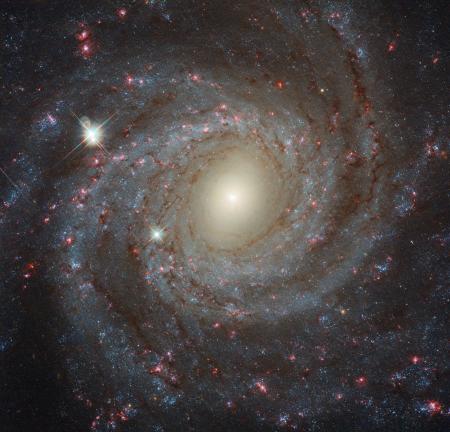 Spiral Galaxy