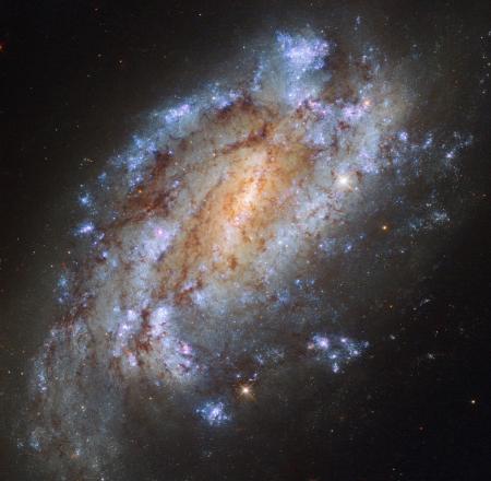 Spiral Galaxy