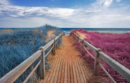 Split Tone Beach Boardwalk - Blue & Pink