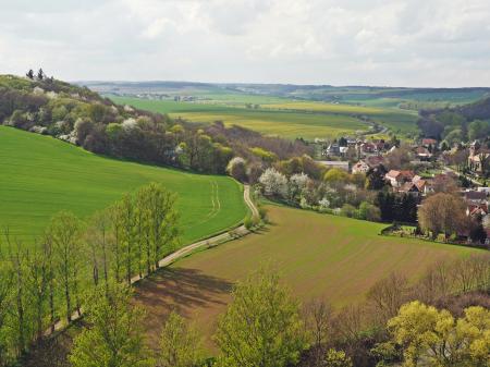 Spring In The Country