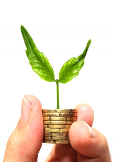 Sprout on coins - Asset Growth and Econo