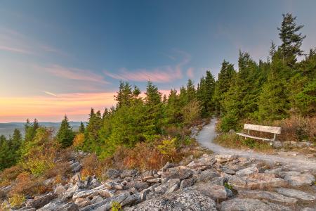 Spruce Knob Twilight Trail - HDR