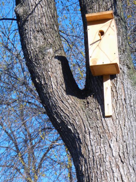 Starling-house