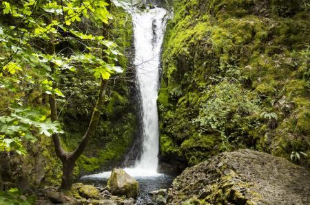 Starvation Ridge Hiking Trail, Oregon