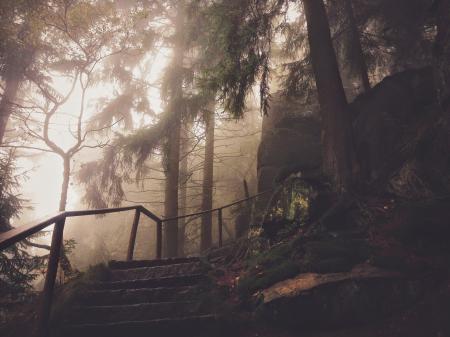 Steps and Rail in Hazy Park