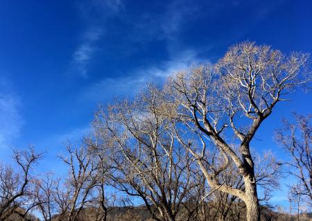 Stock Arizona Sky