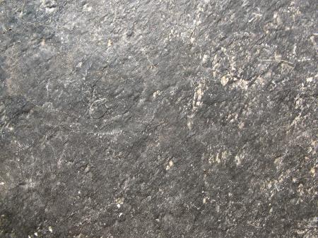 Stone Texture