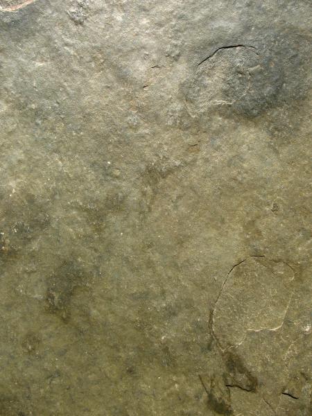 Stone Texture