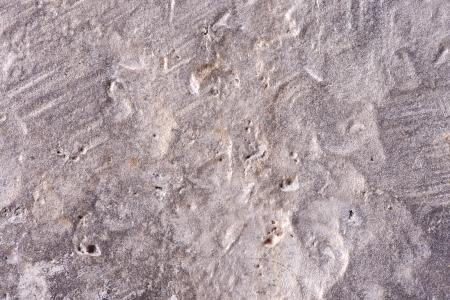 Stone texture