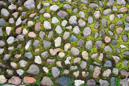 Stone with Grass Background