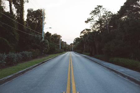 Straight Empty Road Between Trees during Daytime