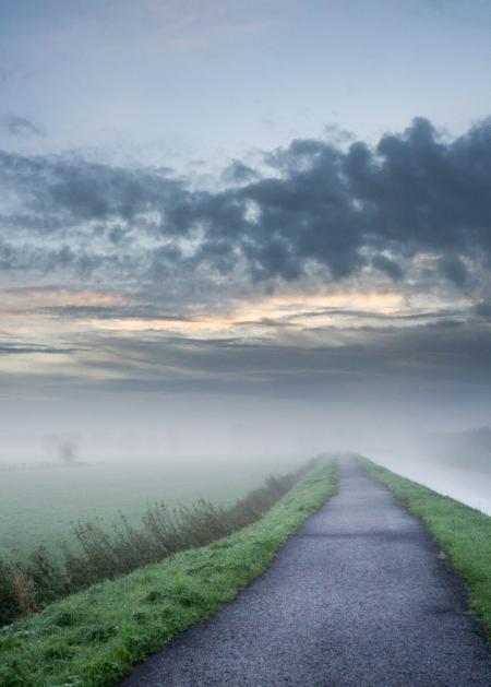 Straight Road Near Pond