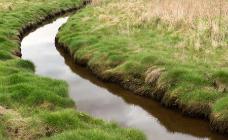 Stream at Gullmarsvik 3