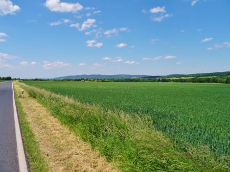 Struppener Straße Struppen Ebenheit