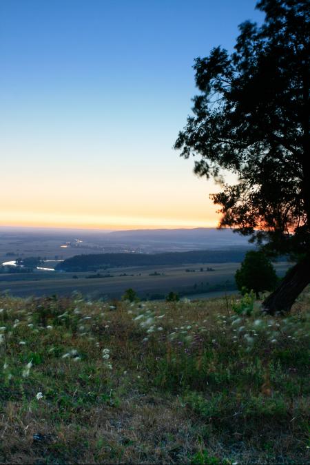 summer night landscape