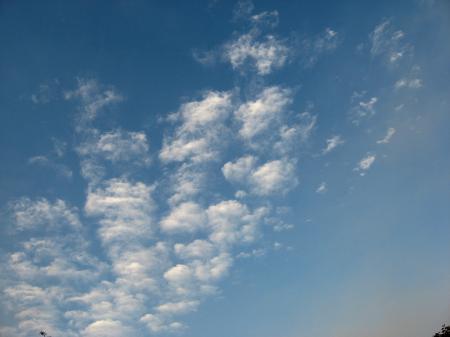 Summer Sky with Fluffy Clouds