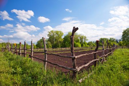 Summer village scene