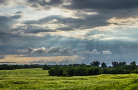 Sun Raise from the Sky over the Green Fields