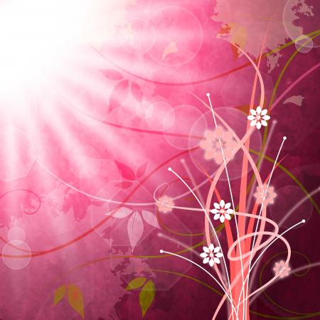 Sun Rays Means Flower Flowers And Pink